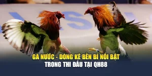 Gà Nước - Dòng Kê Bền Bỉ Nổi Bật Trong Thi Đấu Tại QH88