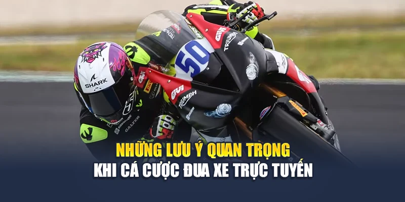 Những lưu ý quan trọng khi cá cược đua xe trực tuyến