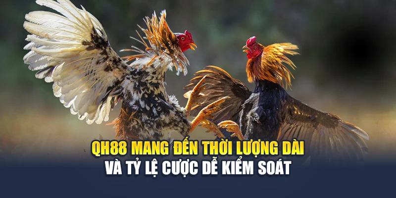 QH88 mang đến thời lượng dài và tỷ lệ cược dễ kiểm soát