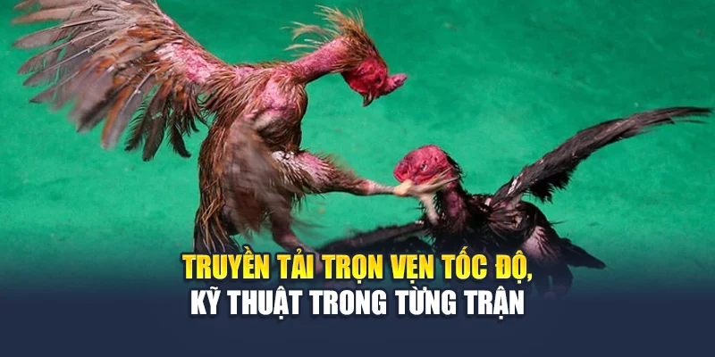 Truyền tải trọn vẹn tốc độ, kỹ thuật trong từng trận