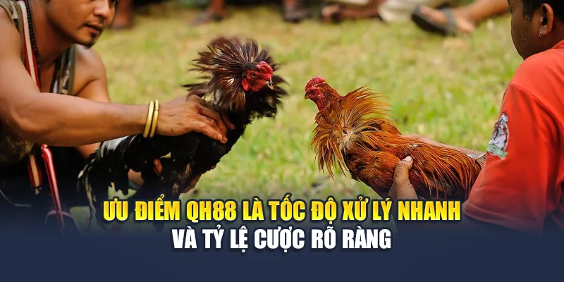 Ưu điểm QH88 là tốc độ xử lý nhanh và tỷ lệ cược rõ ràng